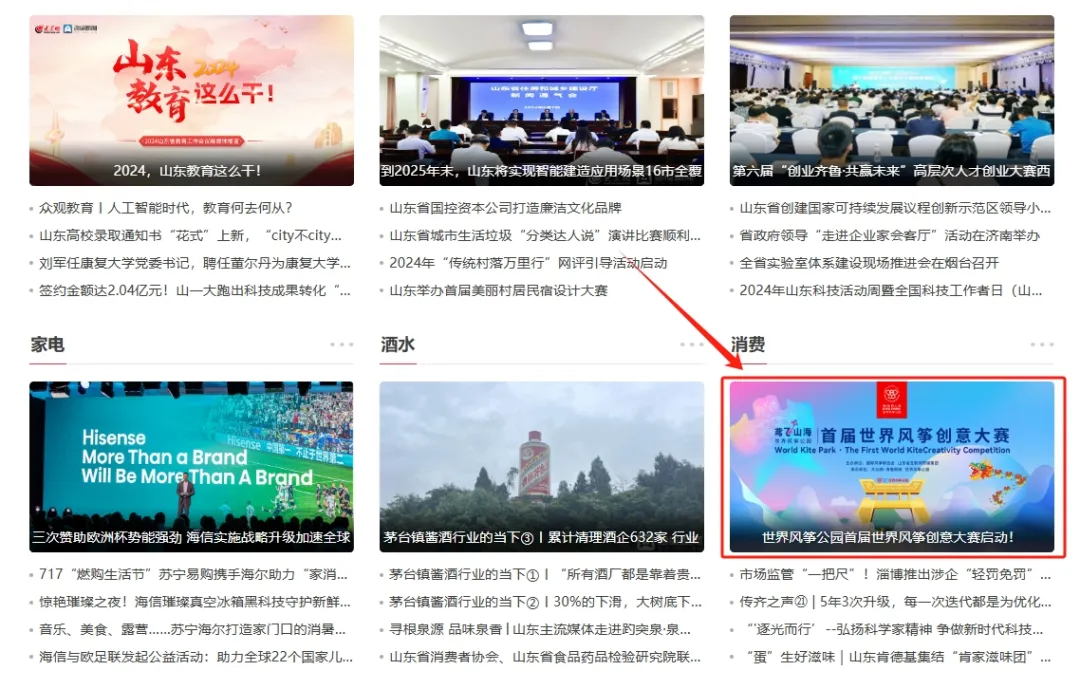 图片[4]-世界风筝公园首届世界风筝创意大赛-设擂台-设计比赛信息平台|赛事征集·赛程查询·比赛资讯