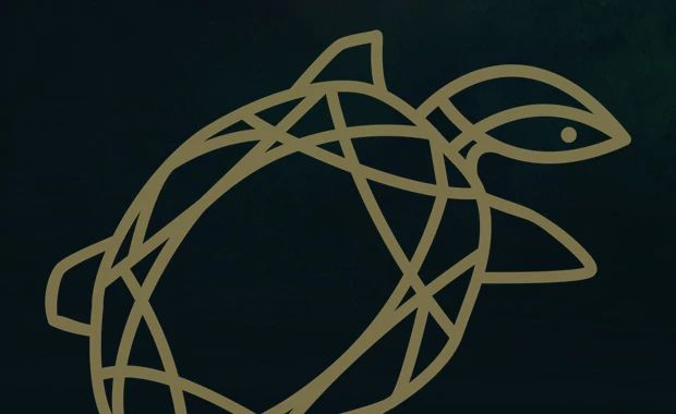 图片[1]-俄罗斯金龟 Golden Turtle 2025 第18届国际野生自然节海报大赛-设擂台-设计比赛信息平台|赛事征集·赛程查询·比赛资讯