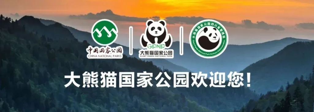图片[1]-四川省大熊猫科学研究院形象标识（LOGO）征集公告-设擂台-设计比赛信息平台|赛事征集·赛程查询·比赛资讯