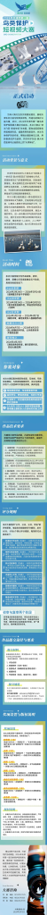 图片[1]-2026年天津市第一届鸟类保护短视频大赛-设擂台-设计比赛信息平台|赛事征集·赛程查询·比赛资讯