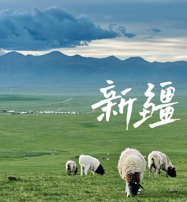 图片[1]-新疆志愿服务联合会 新疆志愿服务基金会标志和卡通形象征集公告-设擂台-设计比赛信息平台|赛事征集·赛程查询·比赛资讯