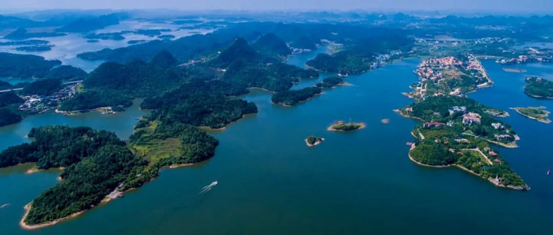 2024年“美丽守护·多样自然” 公众参与生物多样性保护文化艺术作品征集活动-设擂台-设计比赛信息平台|赛事征集·赛程查询·比赛资讯