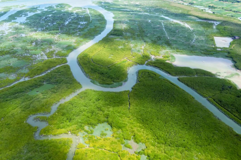 “ 云霄文旅 ”品牌Logo征集活动-设擂台-设计比赛信息平台|赛事征集·赛程查询·比赛资讯