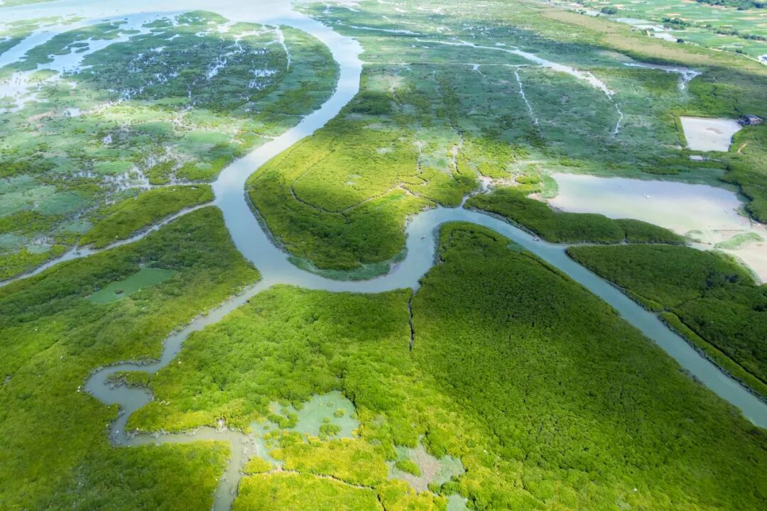 “ 云霄文旅 ”品牌Logo征集活动-设擂台-设计比赛信息平台|赛事征集·赛程查询·比赛资讯