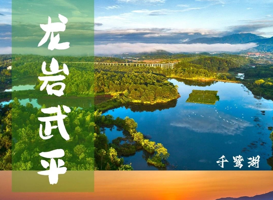 武平紫灵芝品牌名称及LOGO设计方案征集公告-设擂台-设计比赛信息平台|赛事征集·赛程查询·比赛资讯